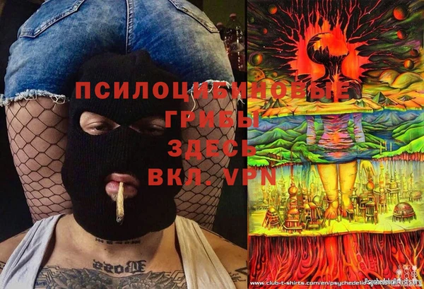 mdpv Осташков