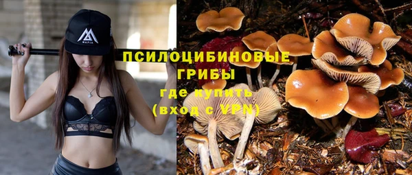 ешки Остров