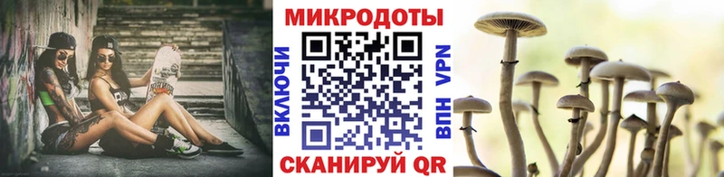 Галлюциногенные грибы прущие грибы  МЕГА   Тавда 