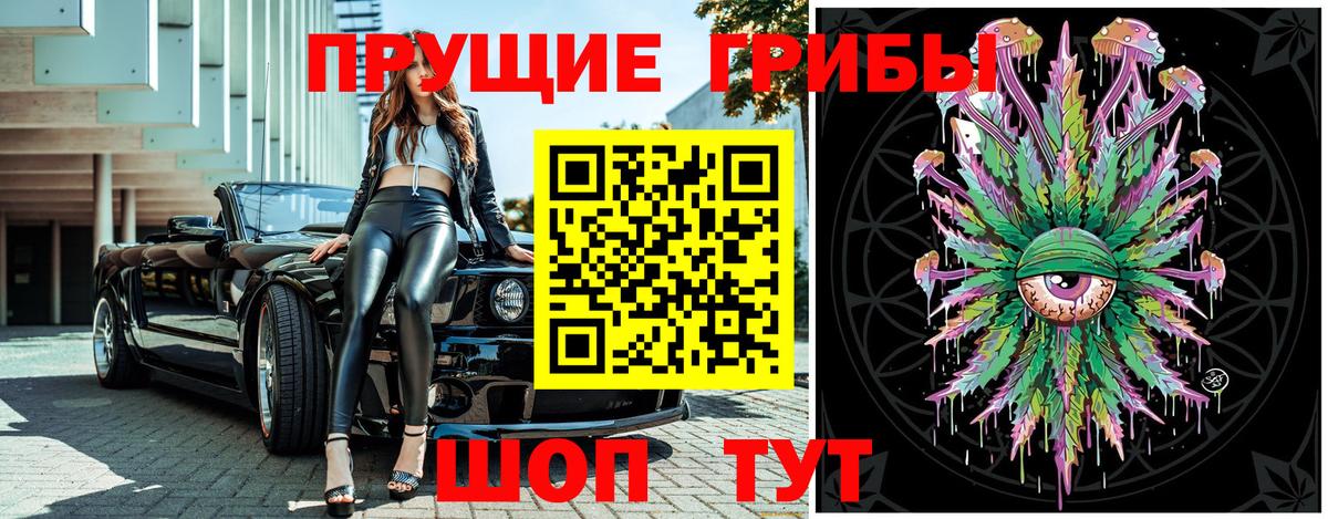 Псилоцибиновые грибы ЛСД Тавда